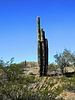 photo thumbnail #14
