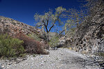 photo thumbnail #3