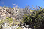 photo thumbnail #11