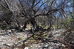 photo thumbnail #12