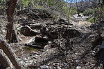 photo thumbnail #13