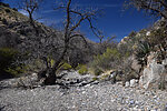 photo thumbnail #14