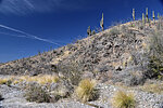 photo thumbnail #15