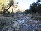 photo thumbnail #7