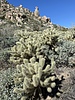 photo thumbnail #3