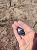 photo thumbnail #8