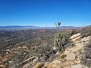 photo thumbnail #4