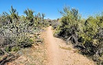 photo thumbnail #15