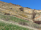 photo thumbnail #11