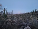 photo thumbnail #1