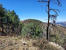 photo thumbnail #4