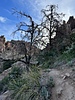 photo thumbnail #11