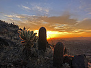 photo thumbnail #4