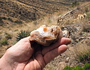 photo thumbnail #6