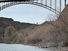 photo thumbnail #11