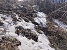 photo thumbnail #10