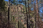photo thumbnail #8