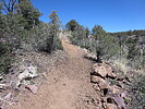photo thumbnail #3
