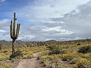 photo thumbnail #4