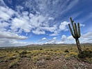 photo thumbnail #5