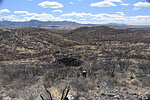 photo thumbnail #14