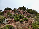 photo thumbnail #7
