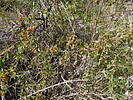 photo thumbnail #13