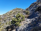 photo thumbnail #12