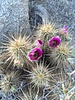 photo thumbnail #2