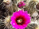 photo thumbnail #5