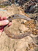 photo thumbnail #12