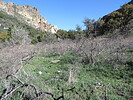 photo thumbnail #8