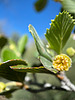 photo thumbnail #11
