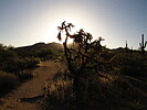 photo thumbnail #2