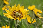 photo thumbnail #7