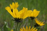 photo thumbnail #8