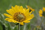 photo thumbnail #9