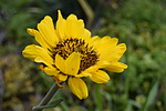 photo thumbnail #12
