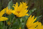 photo thumbnail #13
