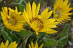 photo thumbnail #15
