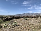 photo thumbnail #14