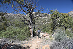 photo thumbnail #1