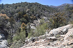 photo thumbnail #8