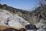photo thumbnail #14