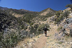 photo thumbnail #13