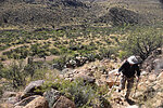 photo thumbnail #4