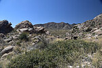 photo thumbnail #12