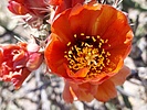 photo thumbnail #11