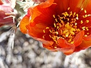 photo thumbnail #12