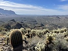 photo thumbnail #5